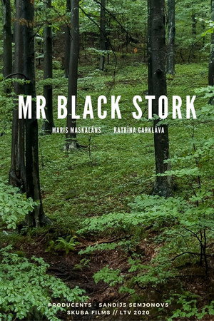 Mr Black Stork poster