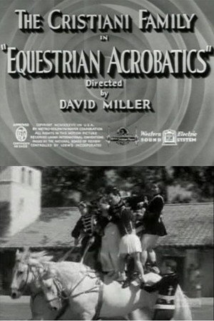 Equestrian Acrobats poster