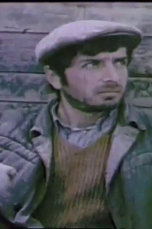 Tushetian Shepherd poster